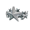 Silver King of the Night